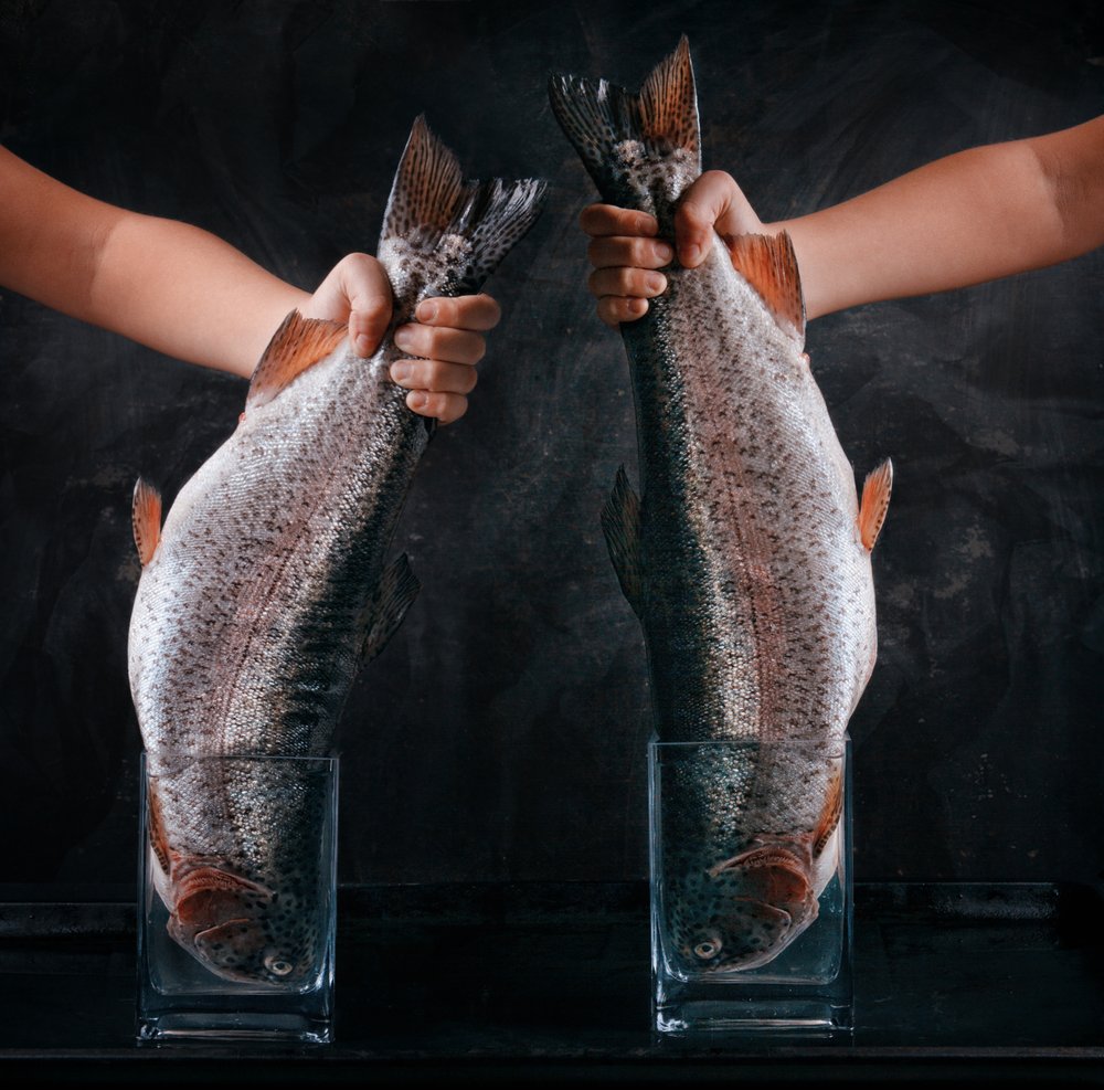 Holding Fresh Fish