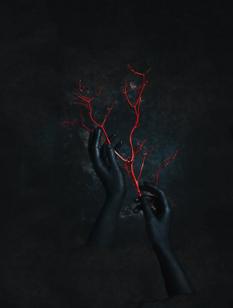 Black Hands Red Branches