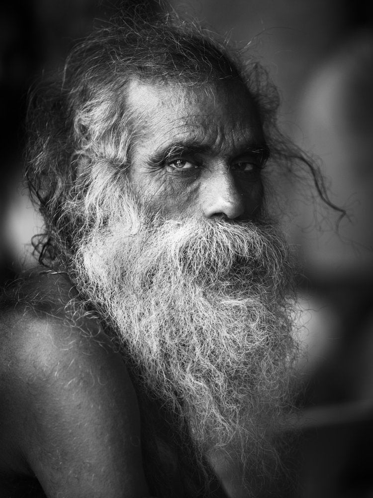 Wise Man's Gaze