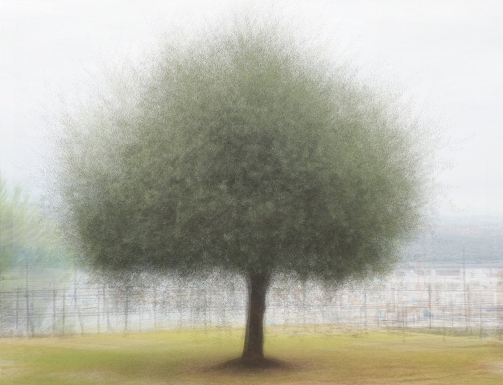 Ethereal Green Tree