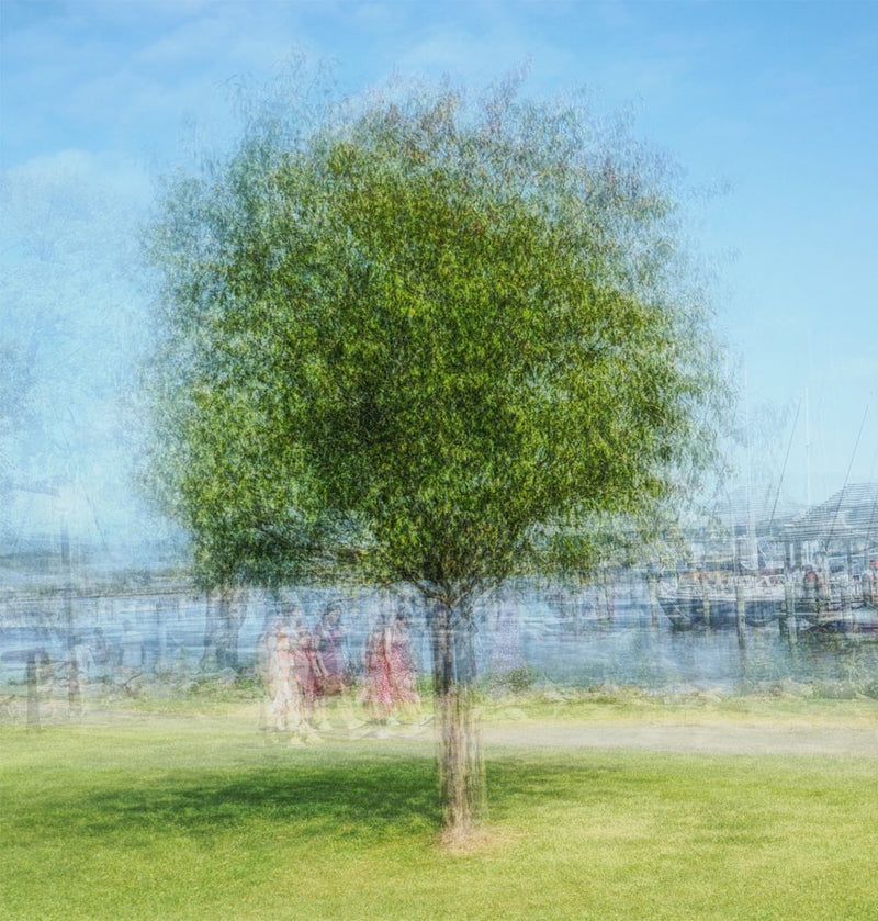 Impressionistic Park View