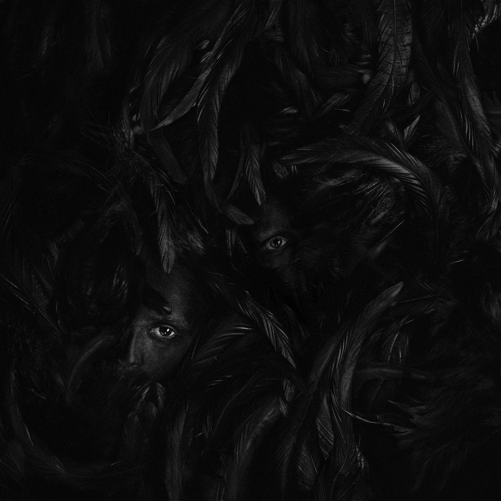Hidden Faces Dark Feathers