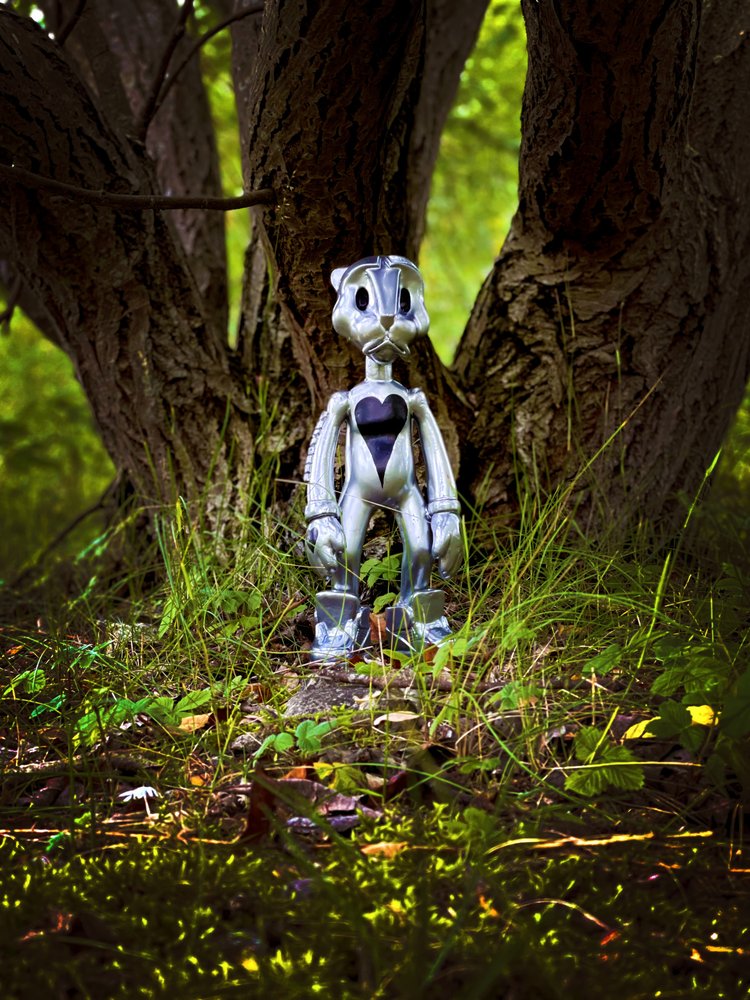Mysterious Woodland Robot