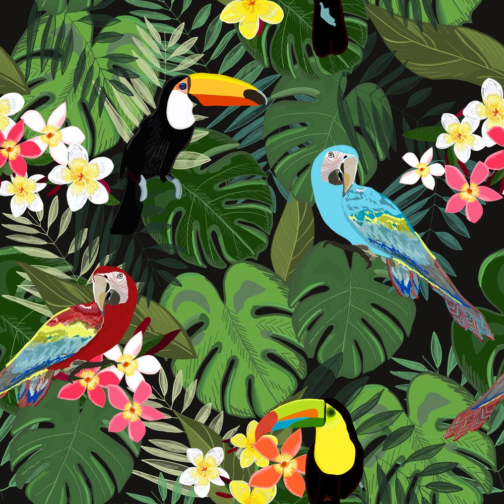 Tropical Jungle Birds