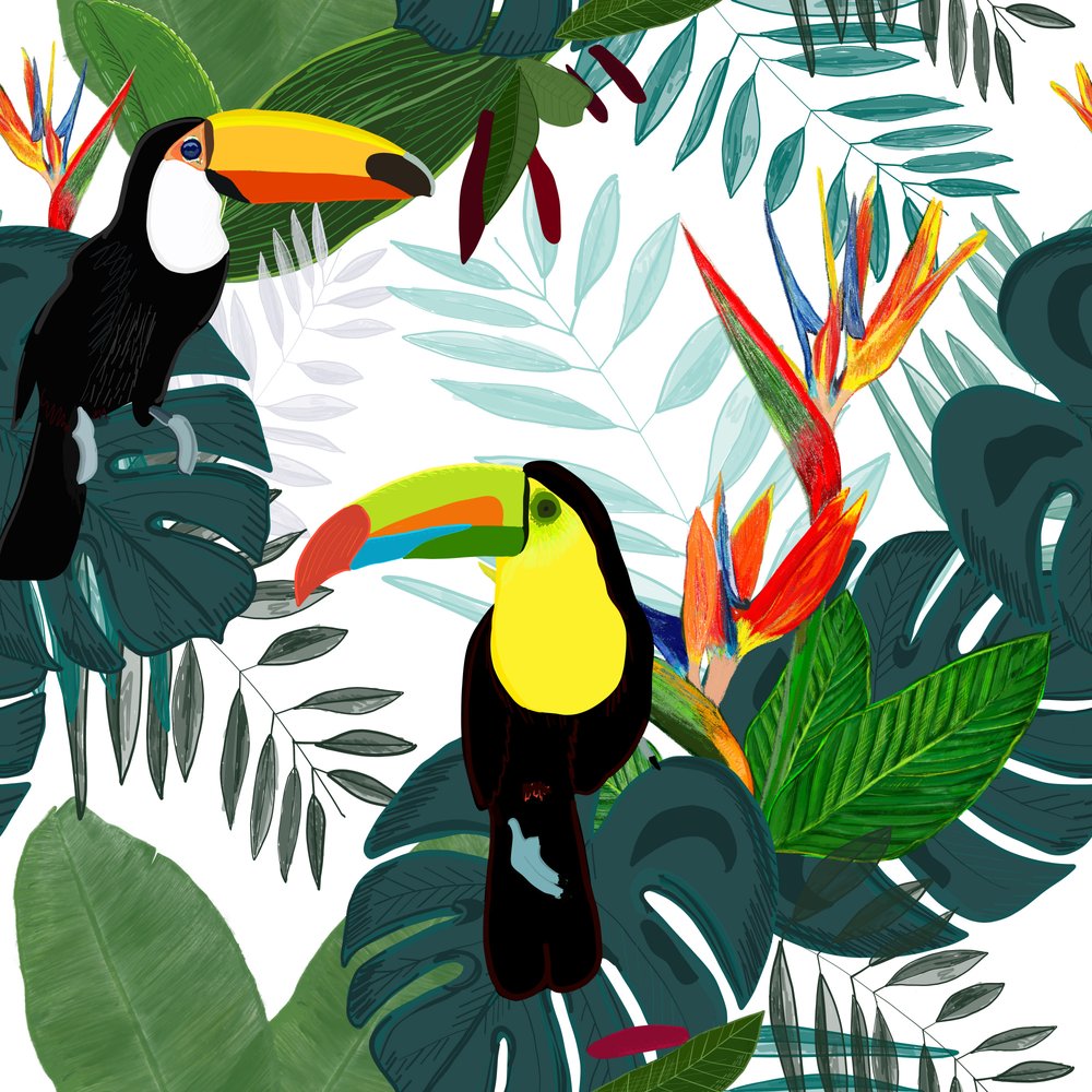 Vibrant Tropical Toucans