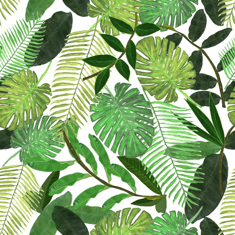 Lush Tropical Leaves