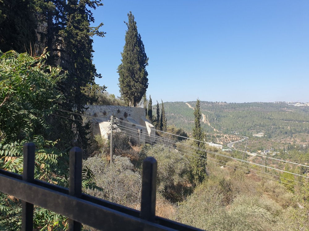 Hilly Landscape View