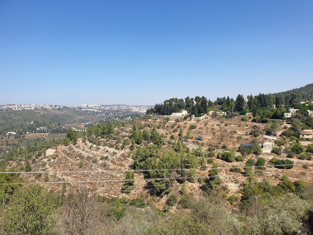 Sunny Hills City View