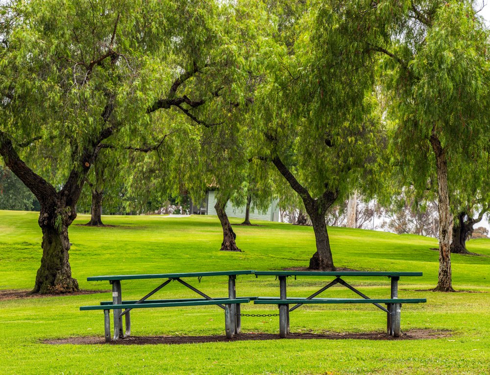 Empty Picnic Tables In Green Park