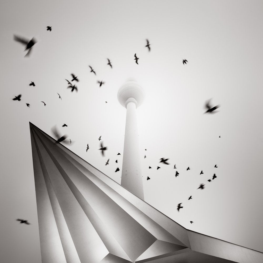 Berlin Tower Birds