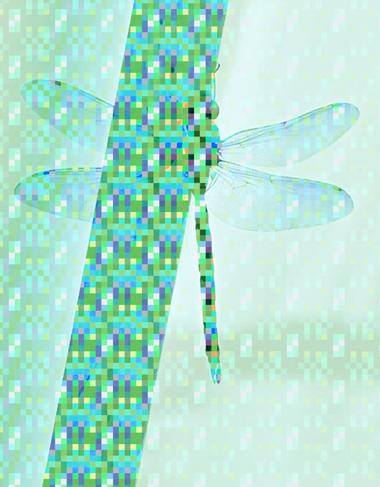 Pixelated Dragonfly