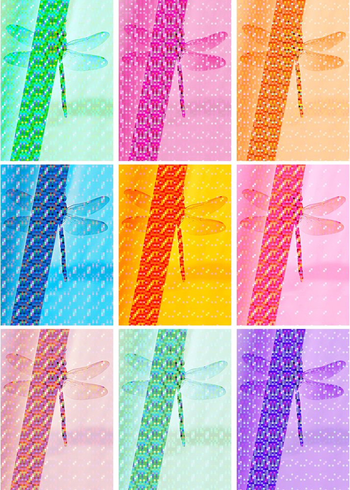 Colorful Dragonflies Pattern