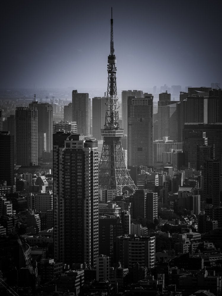 Dramatic Tokyo Cityscape