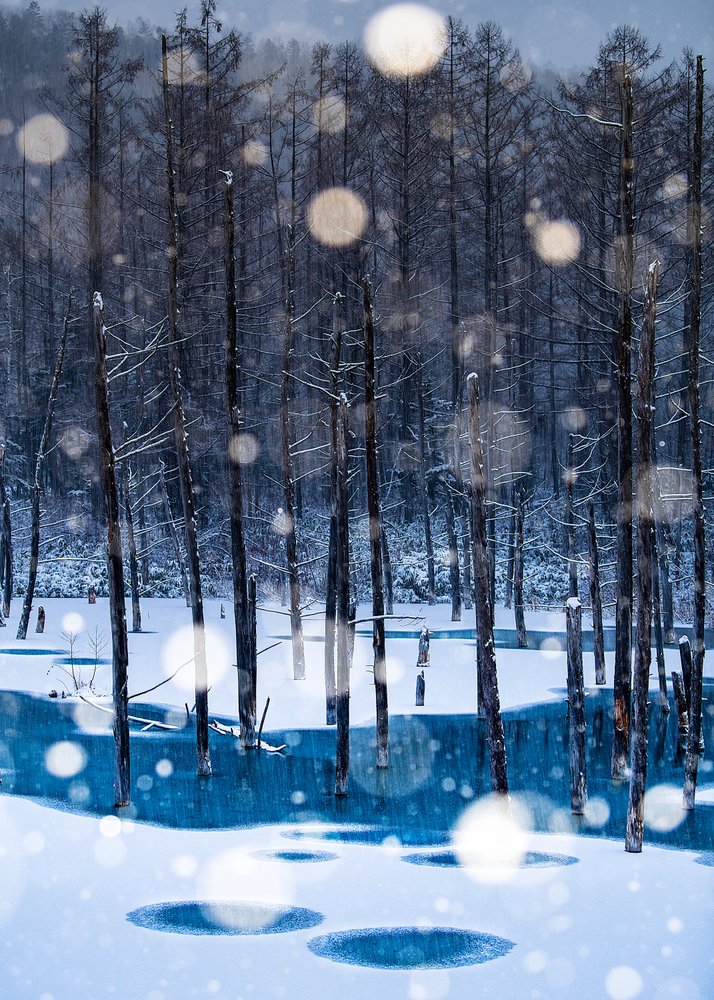 Frozen Blue Pond Winter