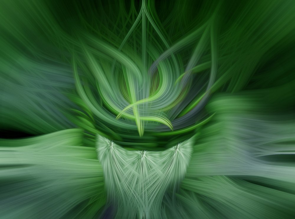 Fluid Green Bloom