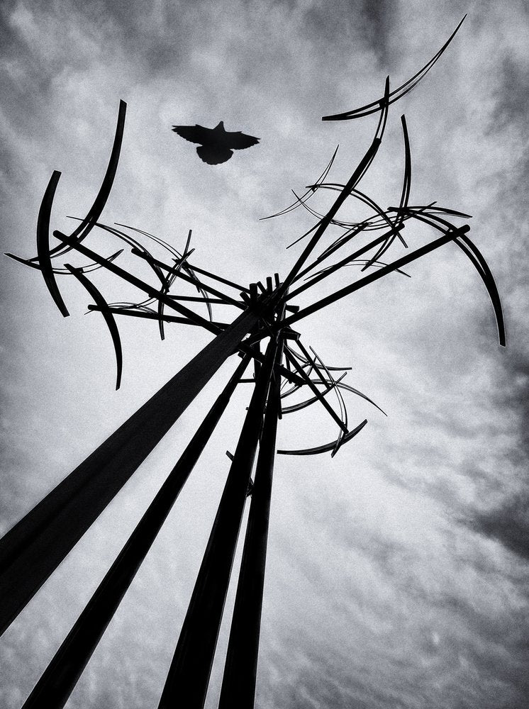 Soaring Bird Sculpture