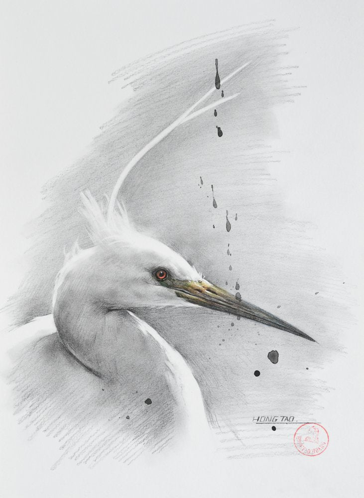 Elegant Egret Drawing