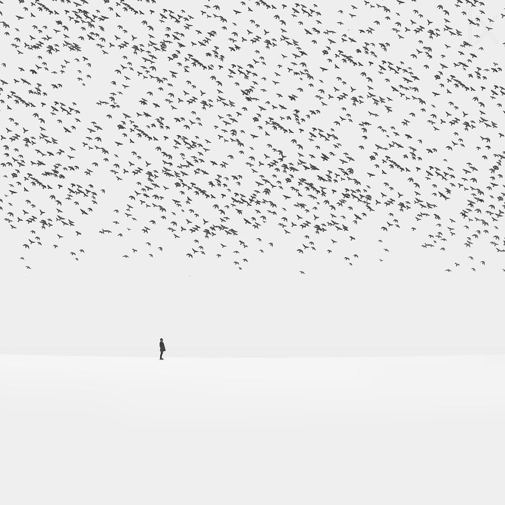 Lone Figure Flying Birds
