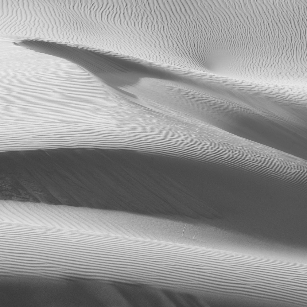 Desert Dune Waves
