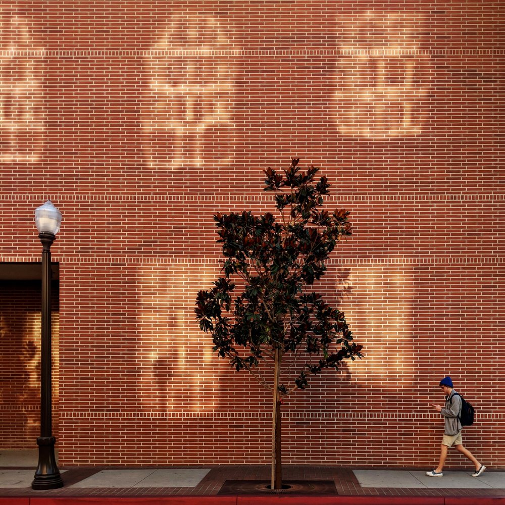 City Wall Light Play