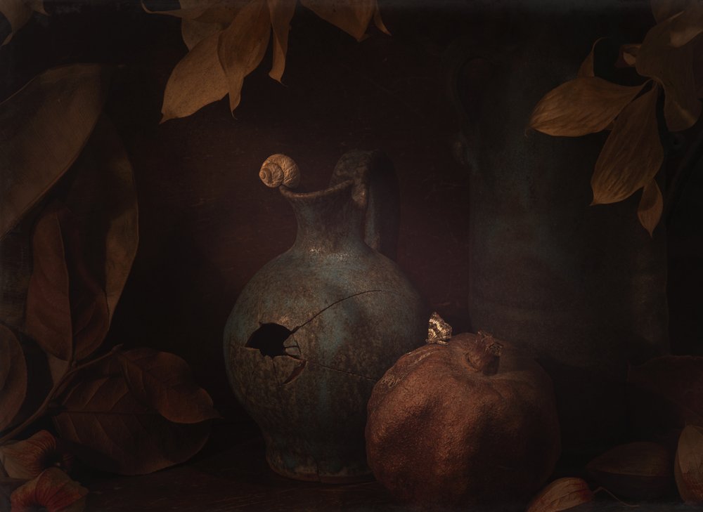 Moody Still Life Pomegranate