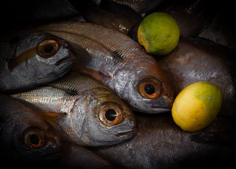 Fresh Fish and Citrus
