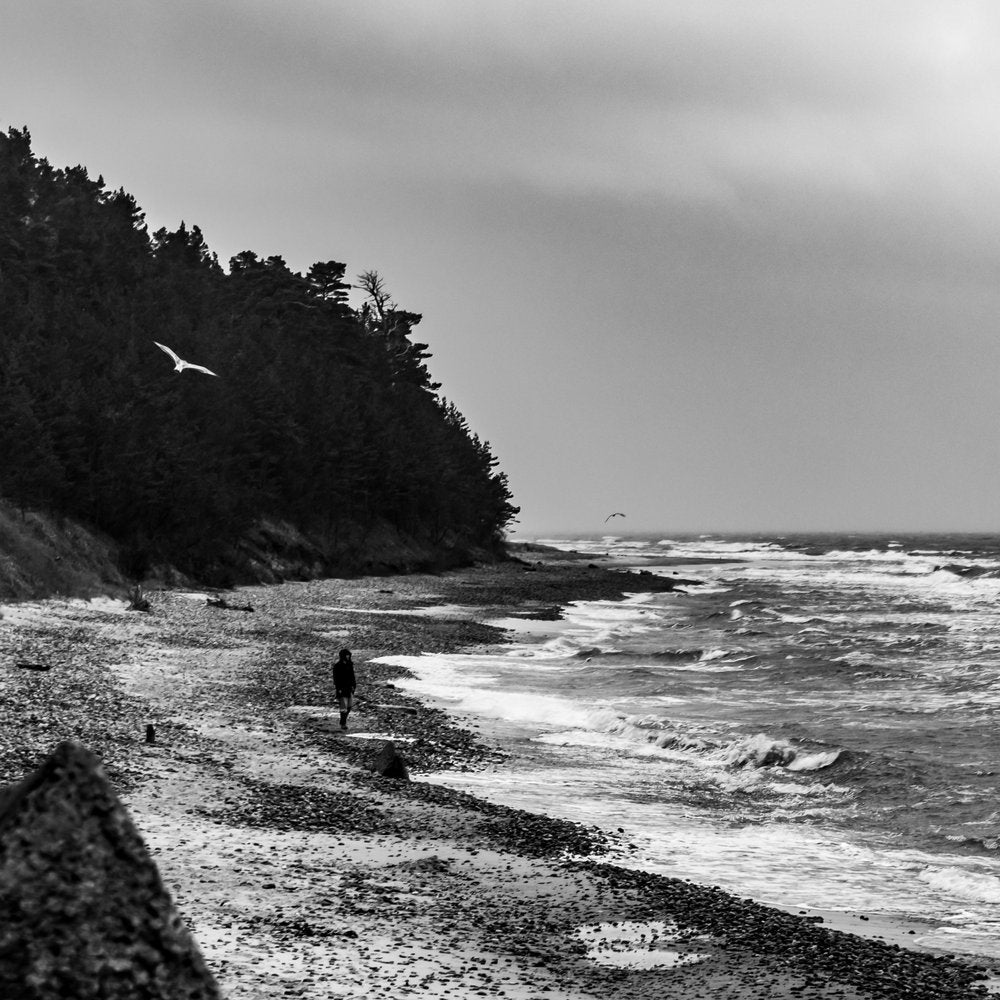 Rocky Beach Wanderer