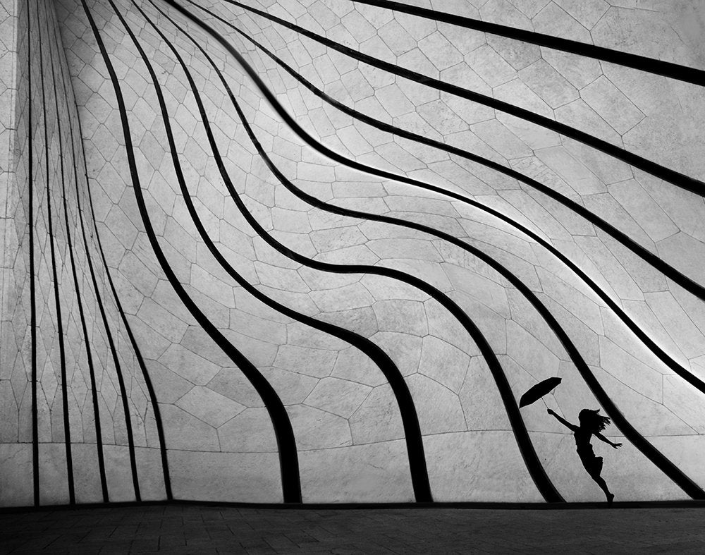 Dynamic Silhouette Flight