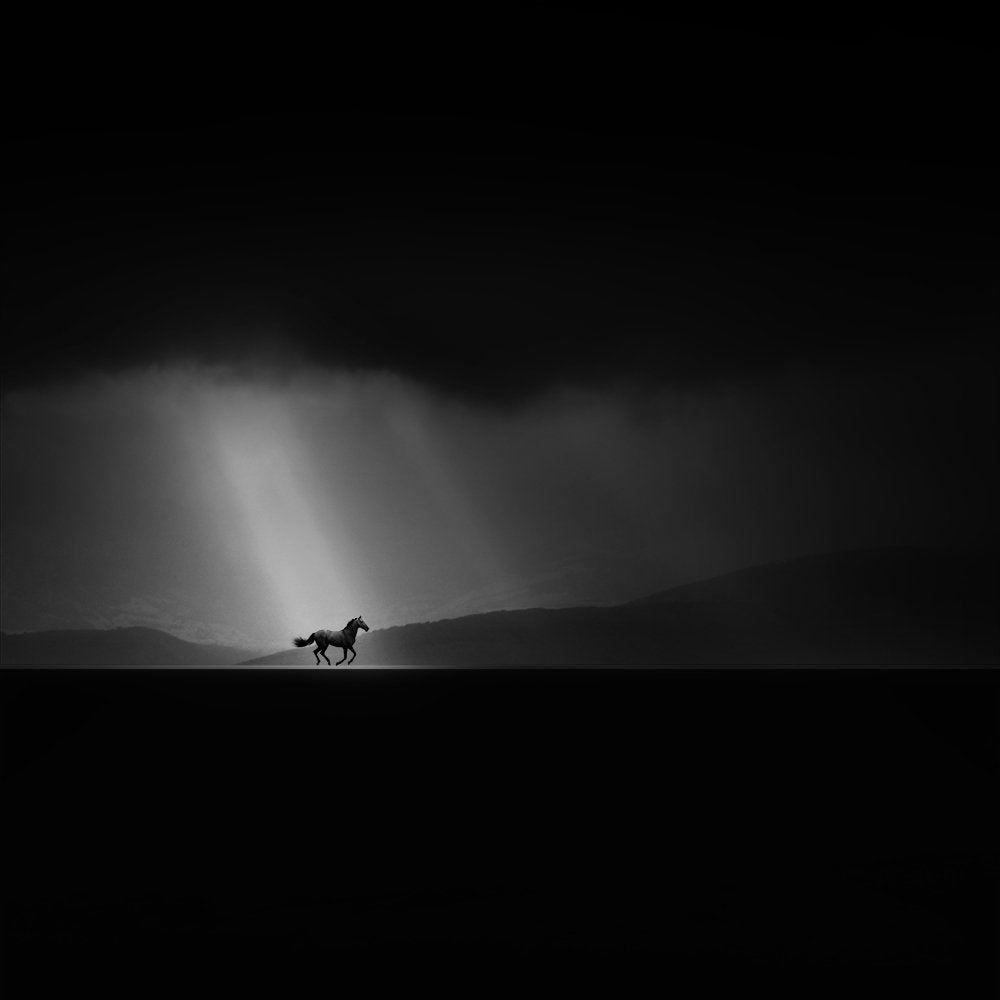 Majestic Horse Light Rays