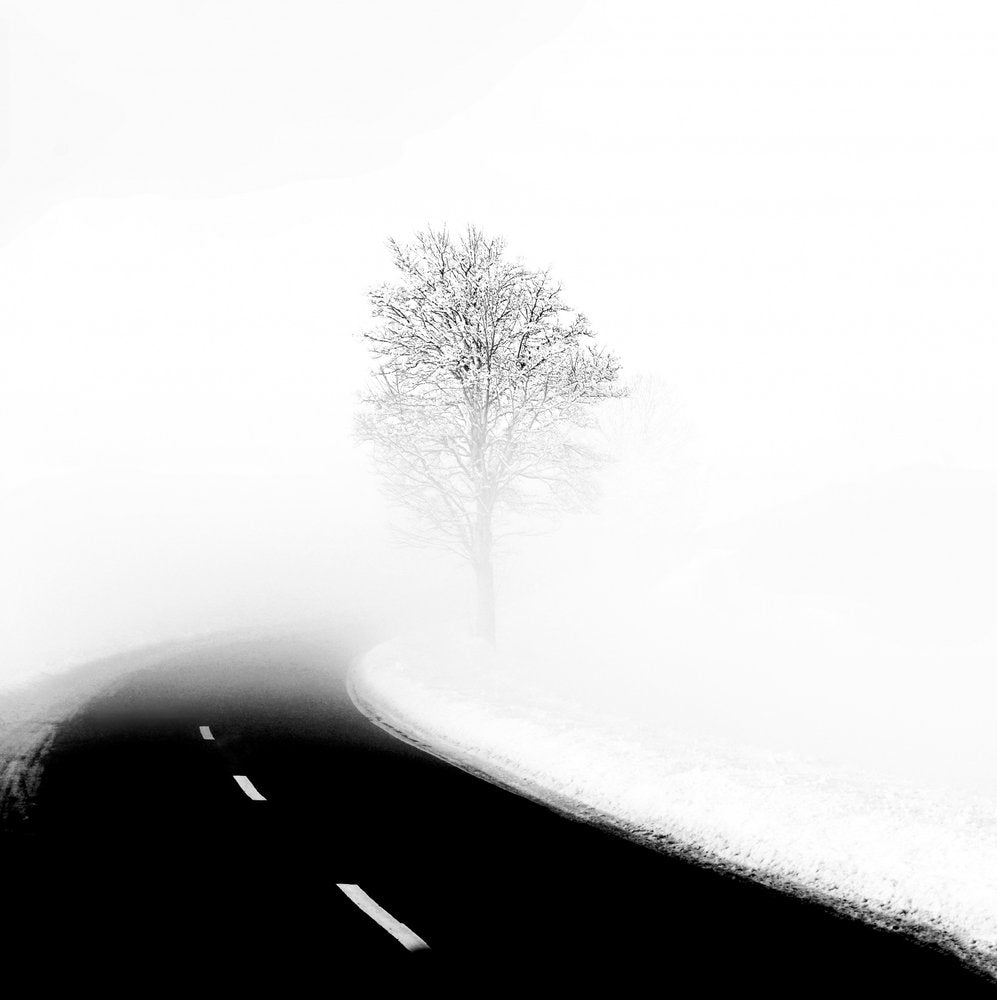 Solitary Tree Winter Road