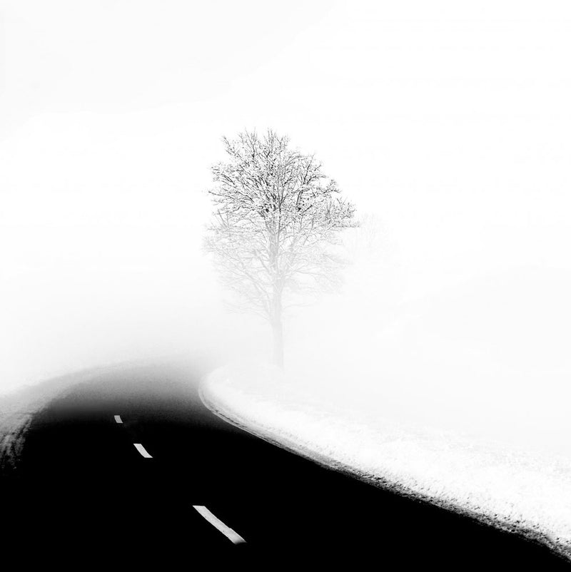 Solitary Tree Winter Road