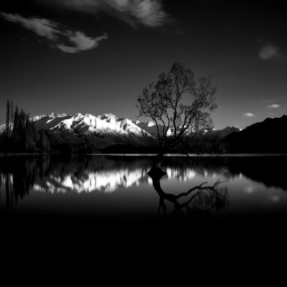 Lone Tree Reflection