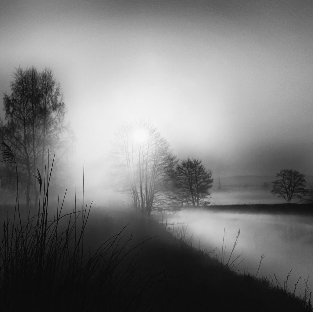 Misty River Morning
