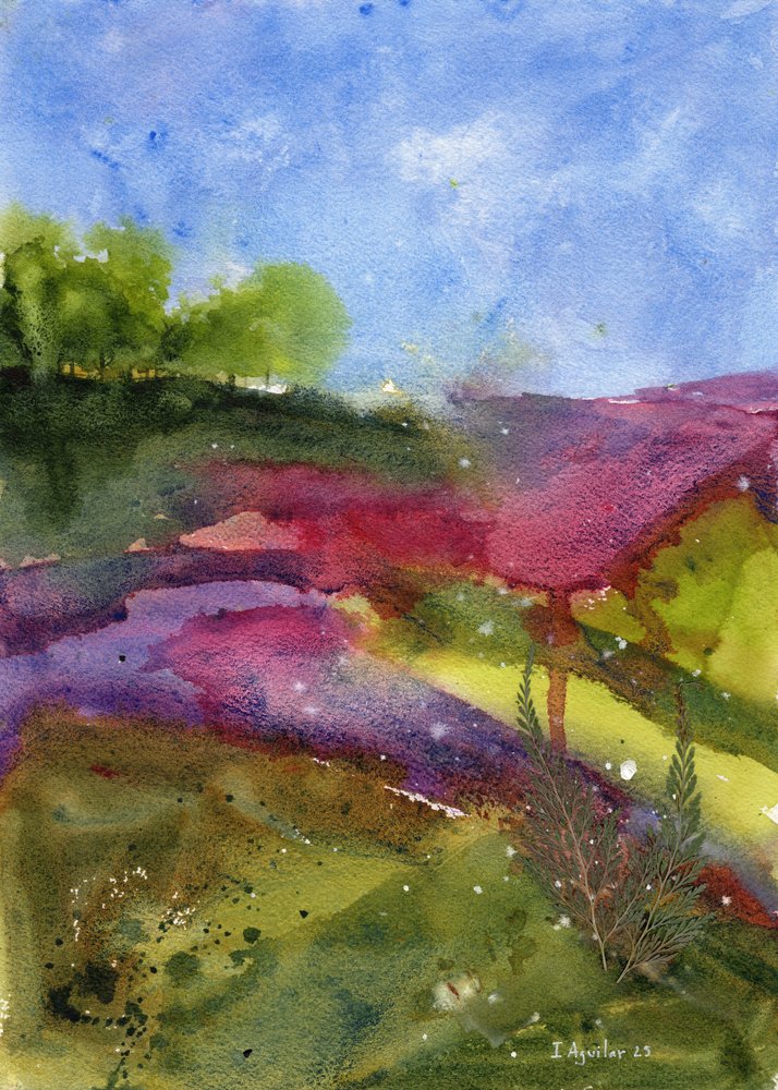 Vibrant Field Landscape