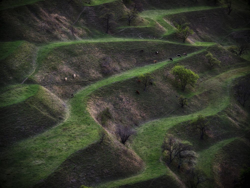 Rolling Green Hills