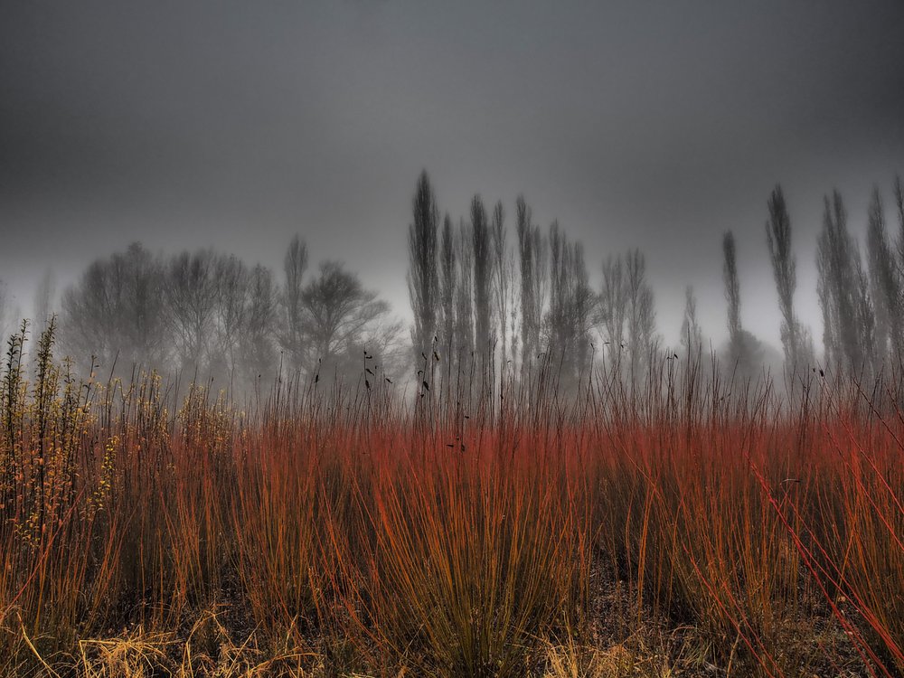 Misty Red Landscape