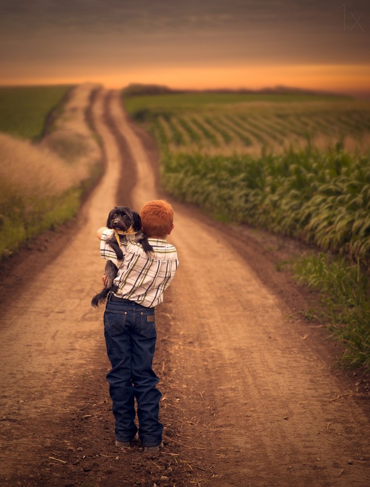 Boy Dog Country Road
