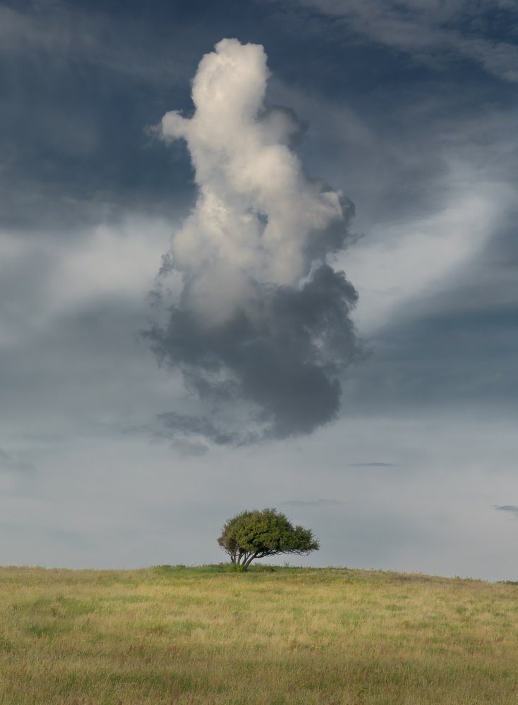 Lone Tree Cloudscape