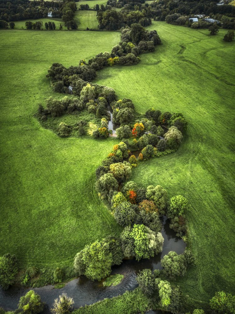 Winding River Green Fields