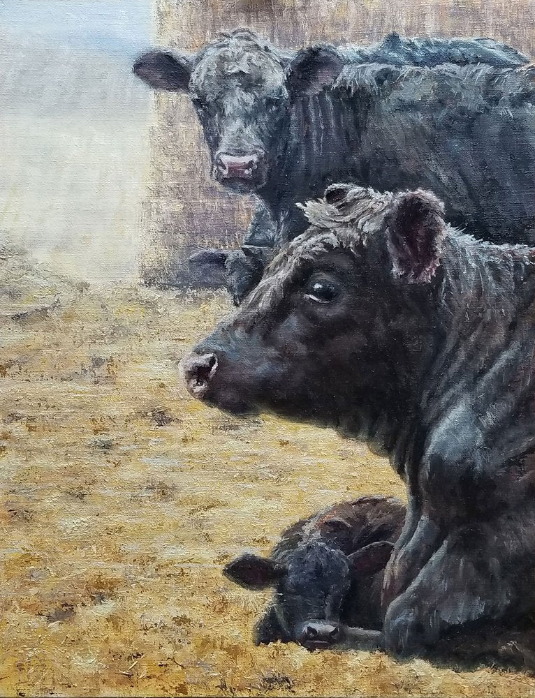 Black Cattle Family
