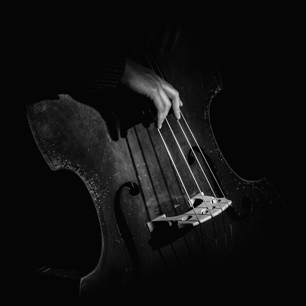 Moody Double Bass