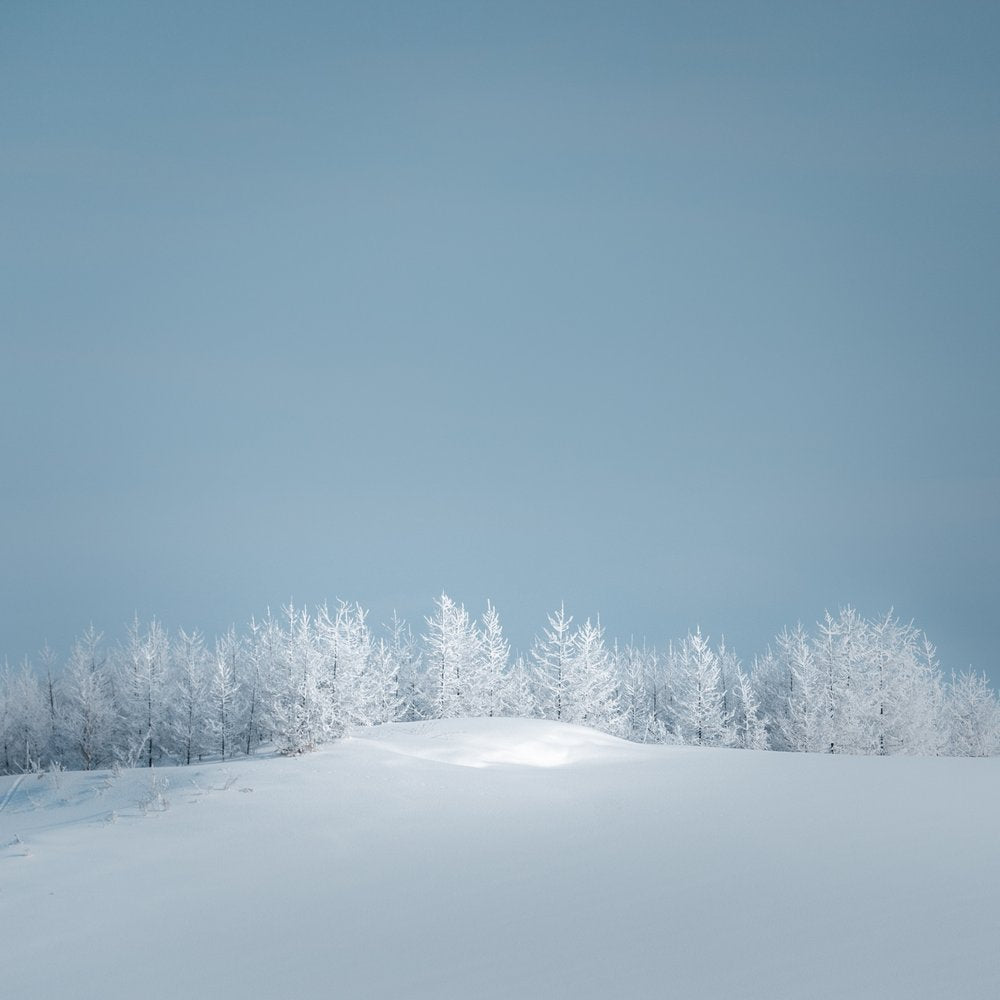 Serene Winter Landscape