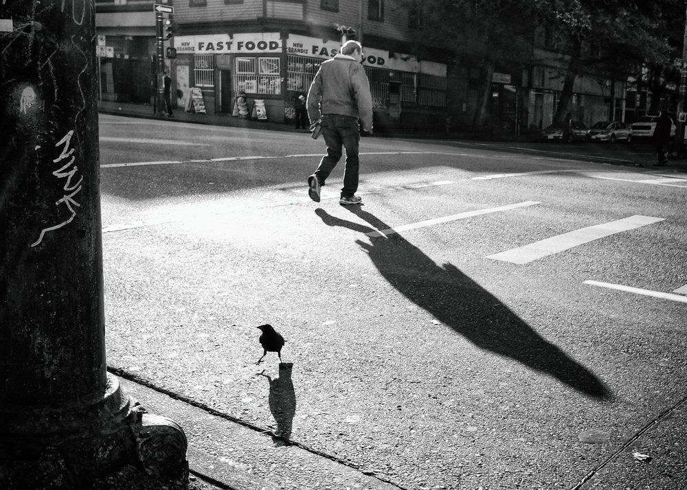 Street Corner Shadows