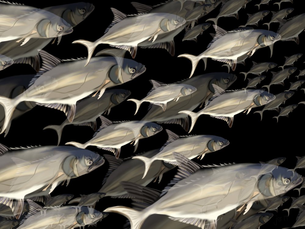 Dynamic School of Fish