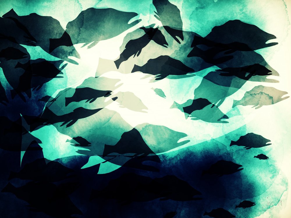 Deep Blue Fish Flow