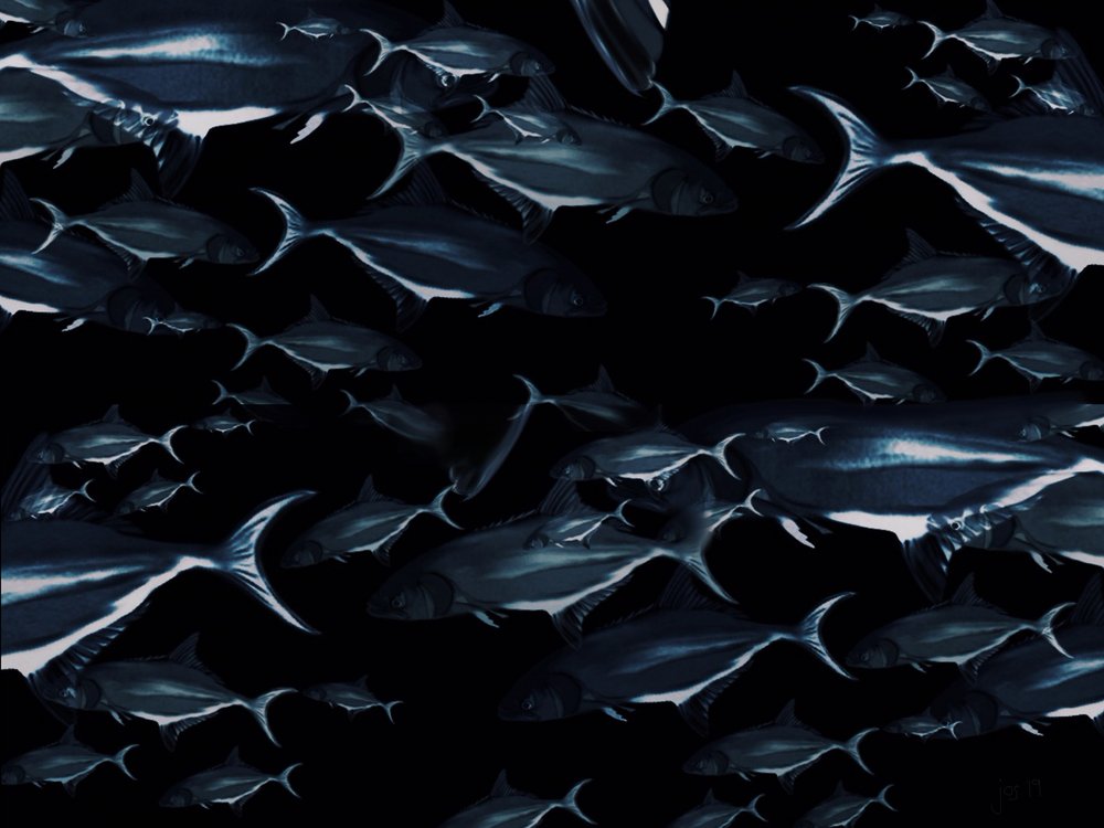 Deep Sea School