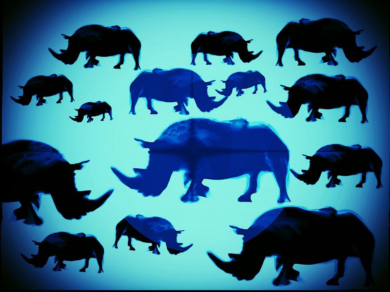Blue Rhino Silhouettes