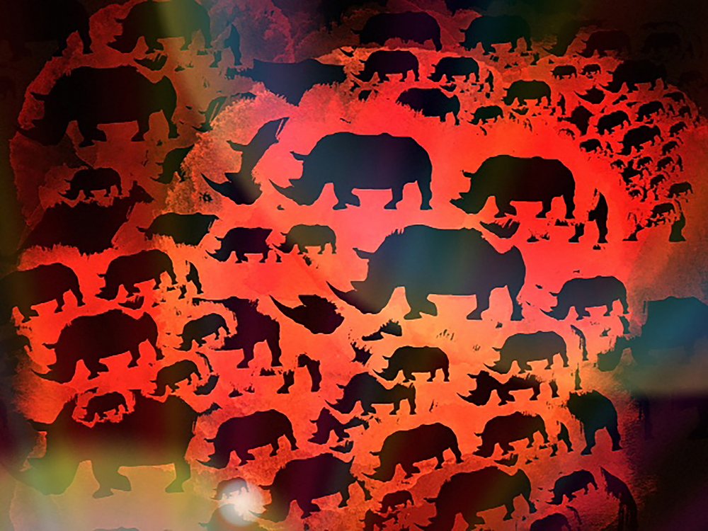 Crimson Rhino Silhouettes
