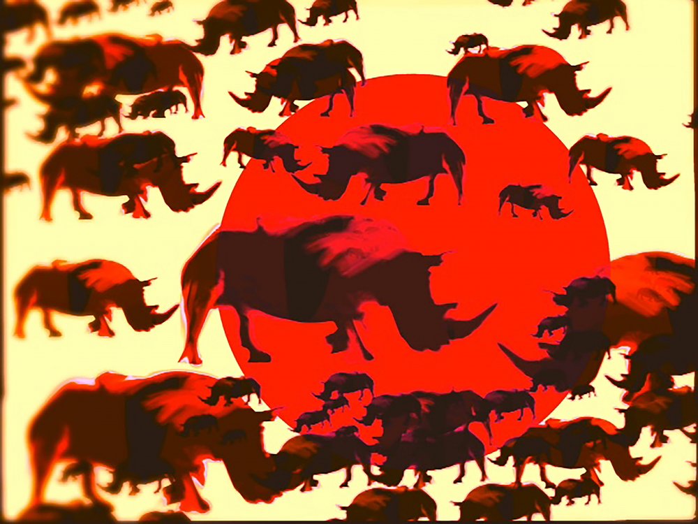 African Rhino Sunset