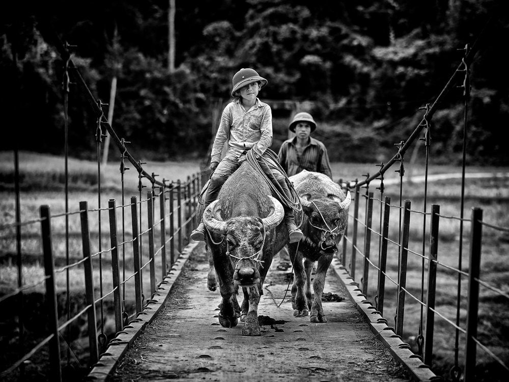 Boys On Buffalo Bridge